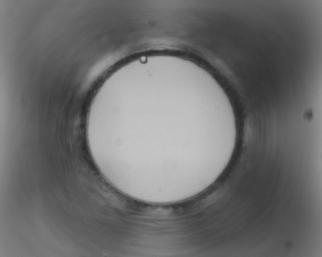 X0000115171261200911251326