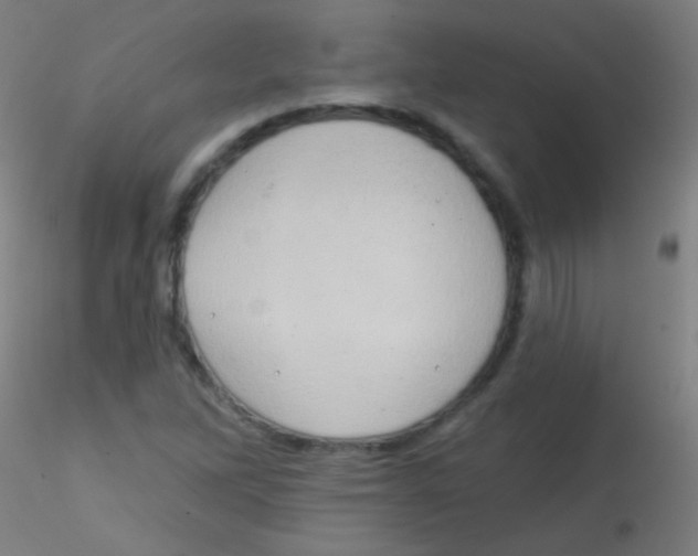 X0000115171262200911251326