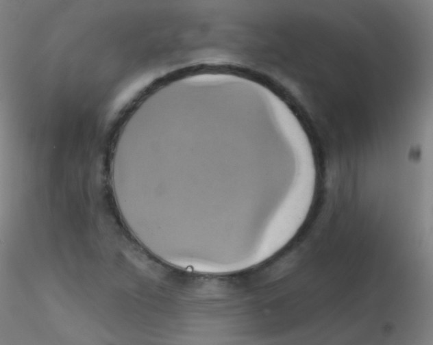 X0000115171263200911251326