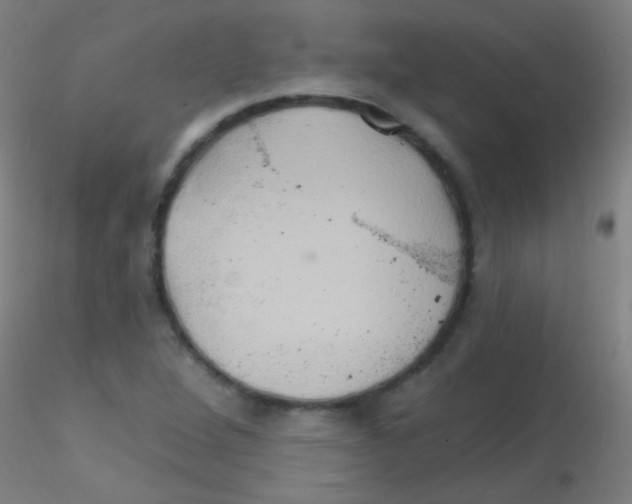 X0000115171264200911251326