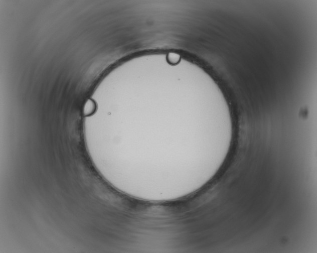 X0000115171265200911251326