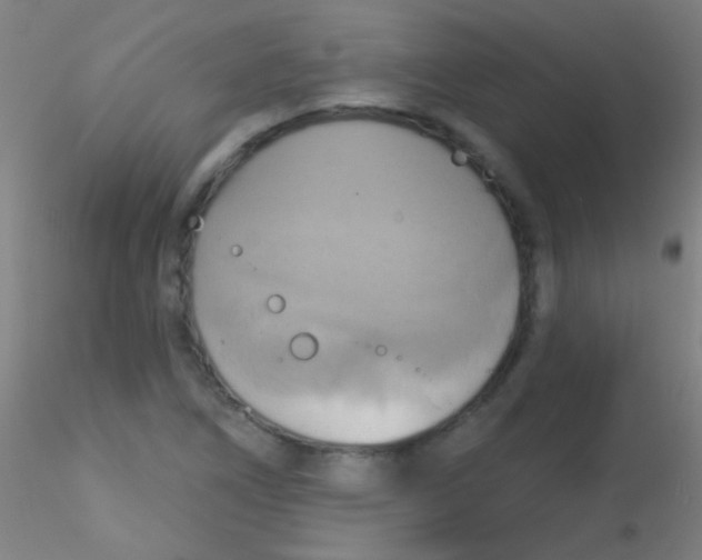 X0000115171266200911251326