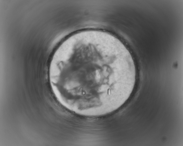 X0000115171267200911251326