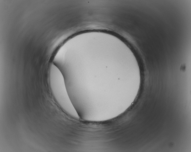 X0000115171269200911251326