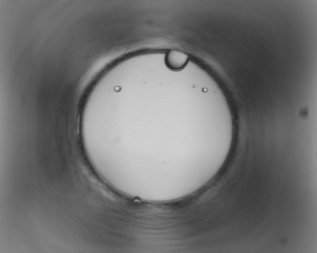 X0000115171270200911251326