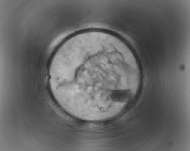 X0000115171271200911251326