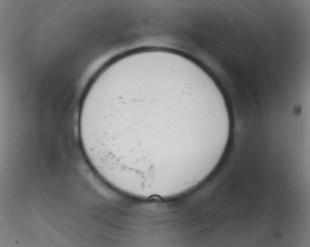 X0000115171272200911251326