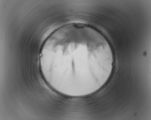 X0000115171274200911251326