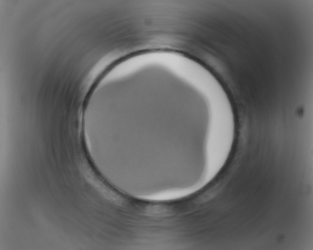 X0000115171275200911251326