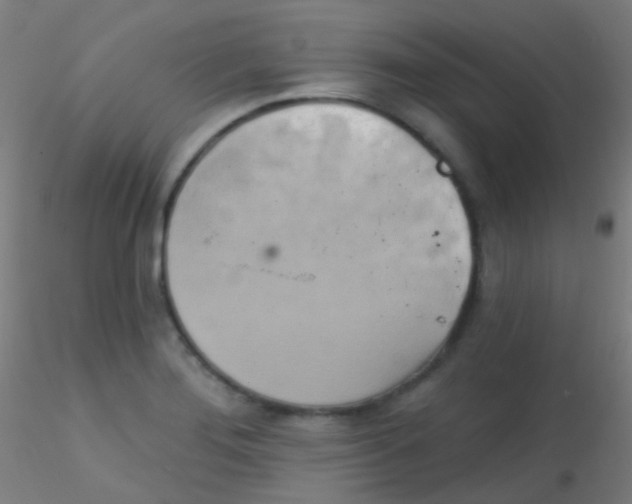 X0000115171276200911251325