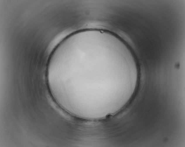 X0000115171277200911251325