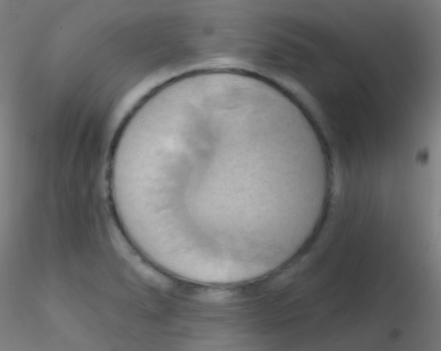 X0000115171278200911251325