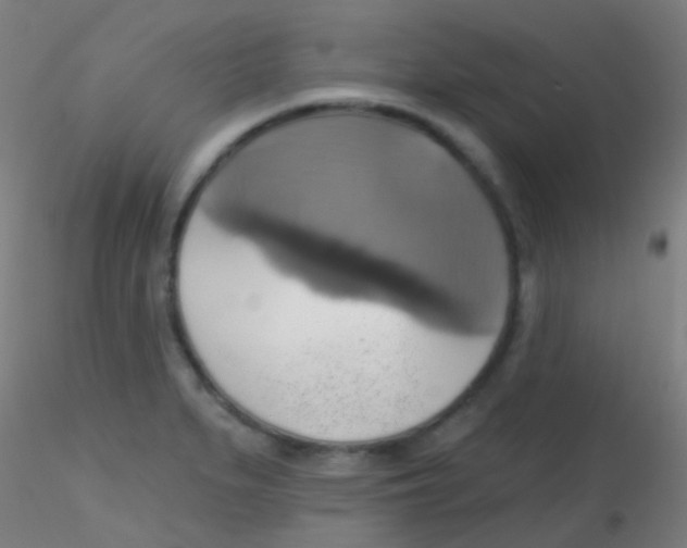 X0000115171279200911251325