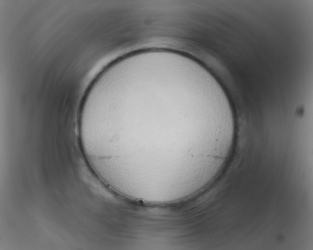 X0000115171280200911251325