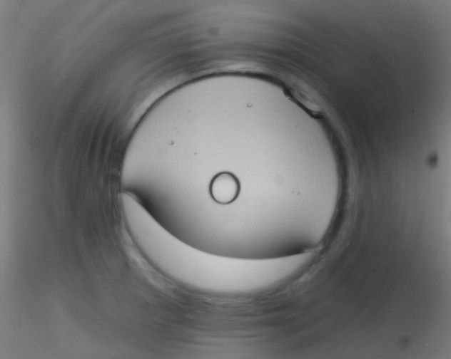 X0000115171281200911251325