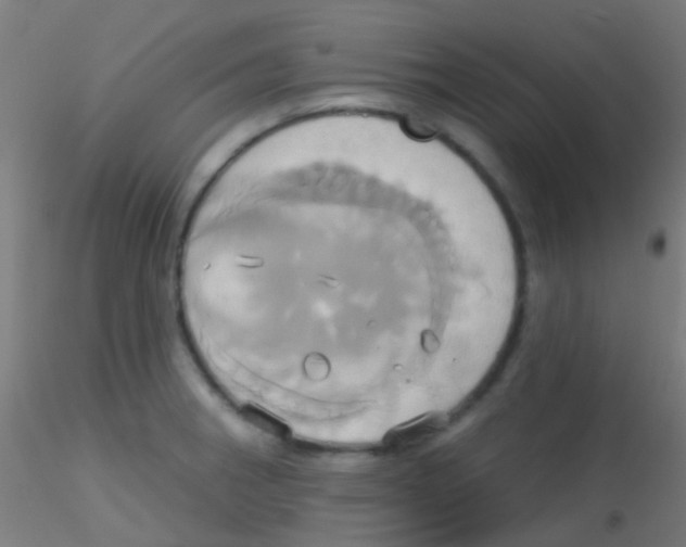 X0000115171282200911251325