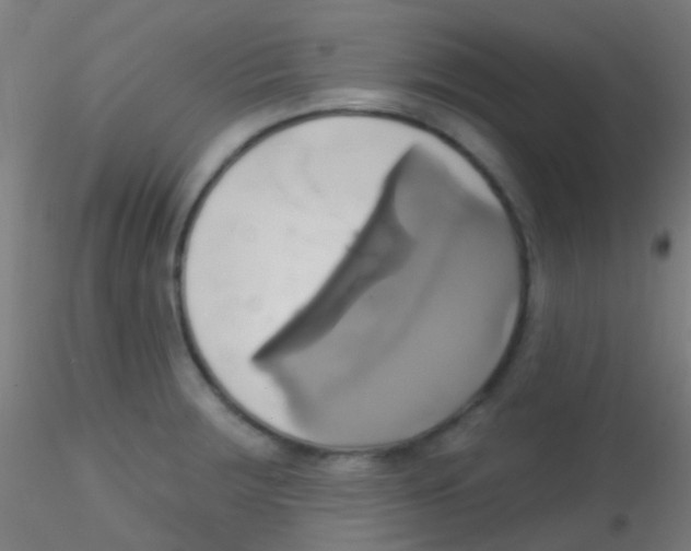 X0000115171283200911251325