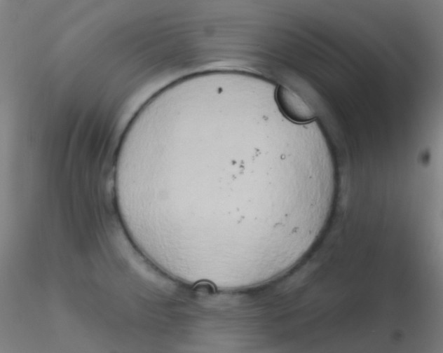 X0000115171284200911251325