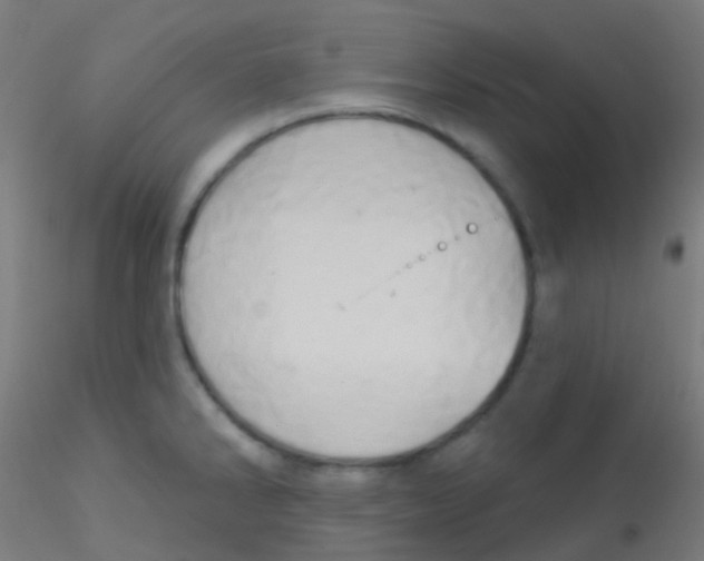 X0000115171286200911251325