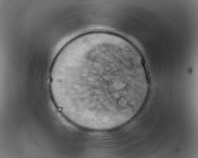 X0000115171287200911251325