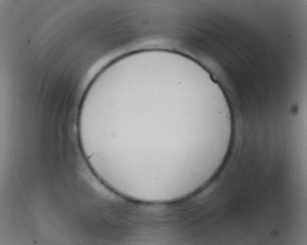 X0000115171288200911251325