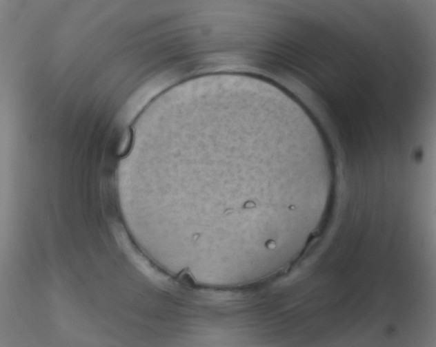 X0000115171289200911251325