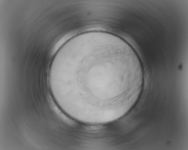 X0000115171290200911251325