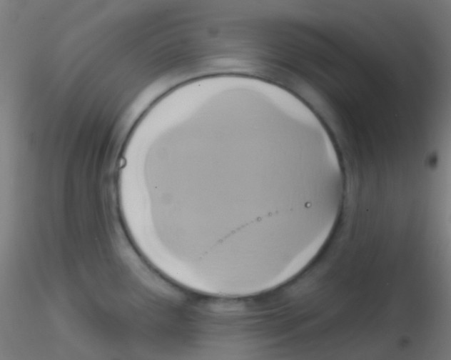 X0000115171291200911251325