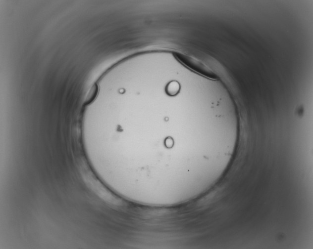 X0000115171292200911251325