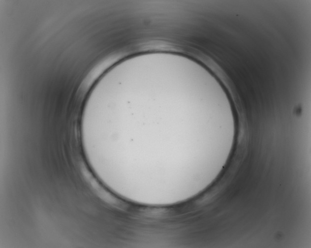 X0000115171293200911251325