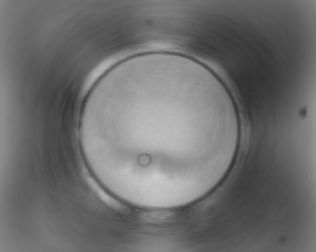 X0000115171294200911251325