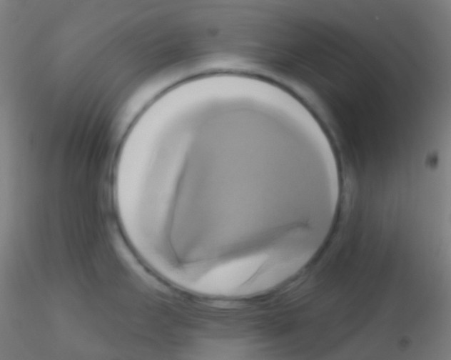 X0000115171295200911251325