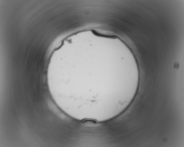 X0000115171296200911251325