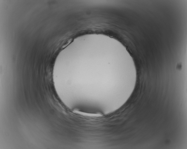 X0000115171298200911251325