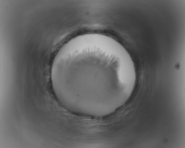 X0000115171301200911251325