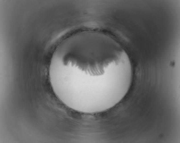 X0000115171302200911251325