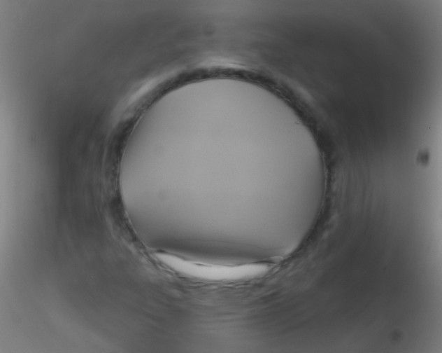 X0000115171303200911251325