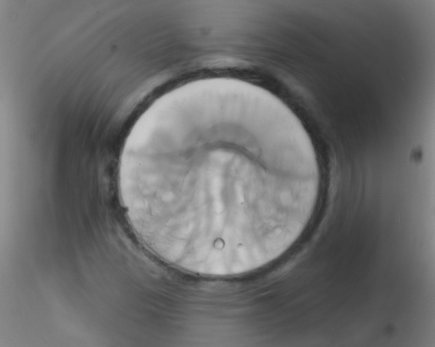 X0000115171305200911251325