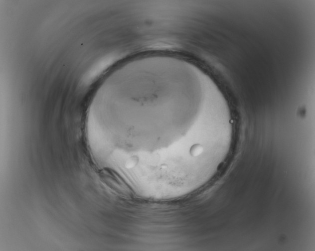 X0000115171306200911251325