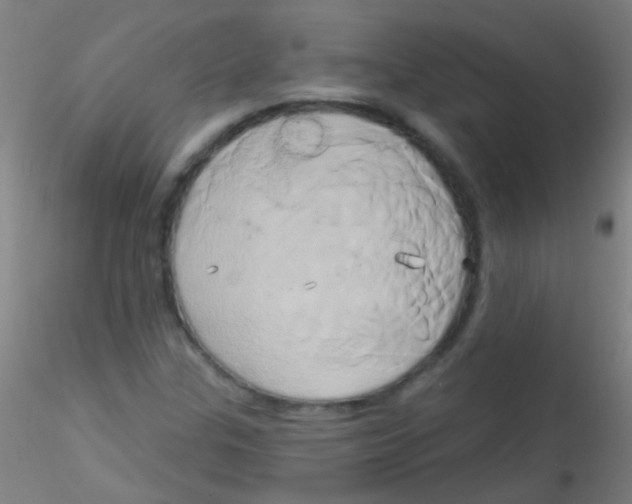 X0000115171307200911251325