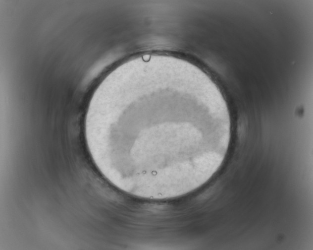 X0000115171309200911251325