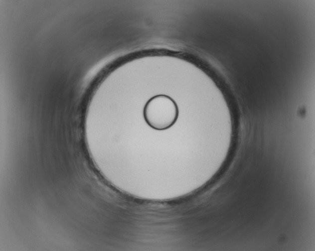 X0000115171310200911251325