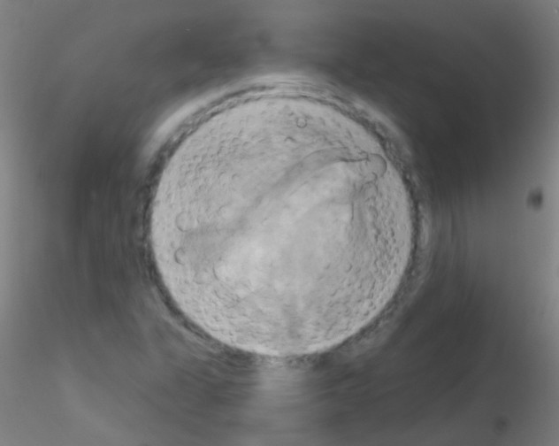 X0000115171311200911251325