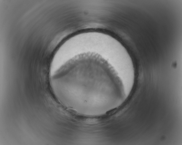 X0000115171313200911251325