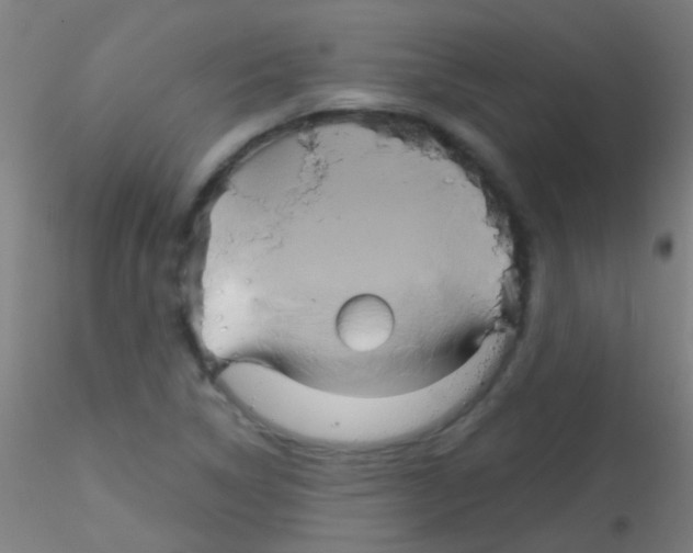 X0000115171314200911251325