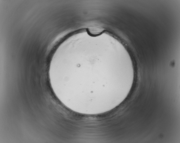 X0000115171315200911251325