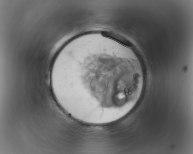 X0000115171317200911251325