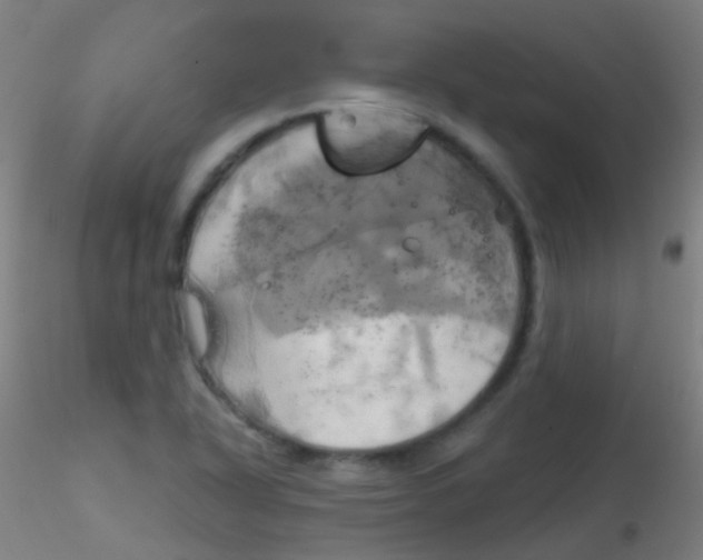 X0000115171318200911251325