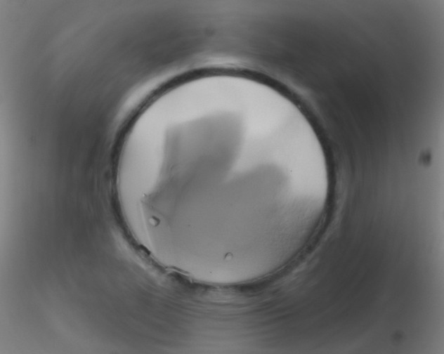 X0000115171319200911251325