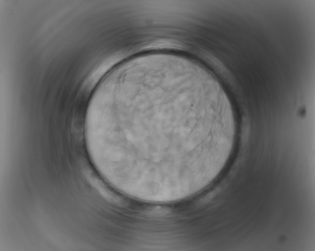 X0000115171321200911251325